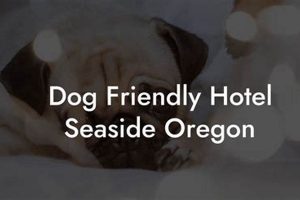 Seaside, OR Hotels: Pet-Friendly Escapes Await! Safem Fabrication - Precision Engineering & Custom Manufacturing Solutions Seaside, OR Hotels: Pet-Friendly Escapes Await! | Safem Fabrication - Precision Engineering & Custom Manufacturing Solutions
