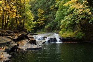 Explore Lake Creek Falls, Oregon: A Nature's Gem Safem Fabrication - Precision Engineering & Custom Manufacturing Solutions Explore Lake Creek Falls, Oregon: A Nature's Gem | Safem Fabrication - Precision Engineering & Custom Manufacturing Solutions
