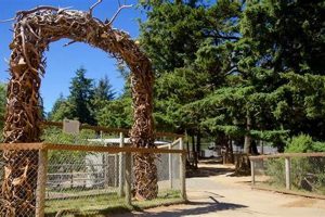 Explore Bandon Oregon Wildlife Park: A Coastal Haven Safem Fabrication - Precision Engineering & Custom Manufacturing Solutions Explore Bandon Oregon Wildlife Park: A Coastal Haven | Safem Fabrication - Precision Engineering & Custom Manufacturing Solutions