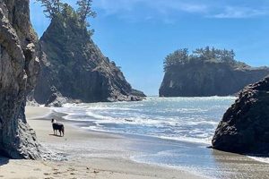 Find Local Brookings, Oregon Jobs: Career Openings Near You Safem Fabrication - Precision Engineering & Custom Manufacturing Solutions Find Local Brookings, Oregon Jobs: Career Openings Near You | Safem Fabrication - Precision Engineering & Custom Manufacturing Solutions