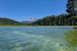 Explore: Lakes Close to Bend, Oregon - Guide Safem Fabrication - Precision Engineering & Custom Manufacturing Solutions Explore: Lakes Close to Bend, Oregon - Guide | Safem Fabrication - Precision Engineering & Custom Manufacturing Solutions