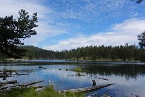 Explore: Magone Lake, Oregon's Gem! Safem Fabrication - Precision Engineering & Custom Manufacturing Solutions Explore: Magone Lake, Oregon's Gem! | Safem Fabrication - Precision Engineering & Custom Manufacturing Solutions