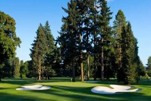 Play Eugene Oregon Golf Courses: Tee Times & Deals Safem Fabrication - Precision Engineering & Custom Manufacturing Solutions Play Eugene Oregon Golf Courses: Tee Times & Deals | Safem Fabrication - Precision Engineering & Custom Manufacturing Solutions