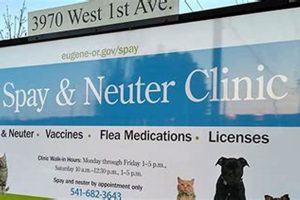 Affordable Eugene Oregon Spay/Neuter Clinic + Services Safem Fabrication - Precision Engineering & Custom Manufacturing Solutions Affordable Eugene Oregon Spay/Neuter Clinic + Services | Safem Fabrication - Precision Engineering & Custom Manufacturing Solutions