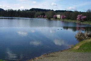 Visit Vernonia Lake, Oregon: A Guide & More! Safem Fabrication - Precision Engineering & Custom Manufacturing Solutions Visit Vernonia Lake, Oregon: A Guide & More! | Safem Fabrication - Precision Engineering & Custom Manufacturing Solutions