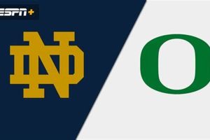 Ducks Showdown: Oregon Ducks vs Notre Dame Rivals? Safem Fabrication - Precision Engineering & Custom Manufacturing Solutions Ducks Showdown: Oregon Ducks vs Notre Dame Rivals? | Safem Fabrication - Precision Engineering & Custom Manufacturing Solutions