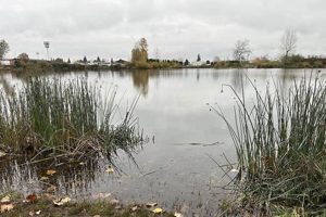 Walling Pond Salem Oregon Safem Fabrication - Precision Engineering & Custom Manufacturing Solutions Walling Pond Salem Oregon | Safem Fabrication - Precision Engineering & Custom Manufacturing Solutions