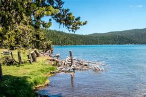 Paulina Lake Oregon Camping: Your Guide + Tips Safem Fabrication - Precision Engineering & Custom Manufacturing Solutions Paulina Lake Oregon Camping: Your Guide + Tips | Safem Fabrication - Precision Engineering & Custom Manufacturing Solutions