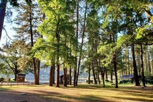 Explore Josephine County Oregon Parks: Nature's Gems Safem Fabrication - Precision Engineering & Custom Manufacturing Solutions Explore Josephine County Oregon Parks: Nature's Gems | Safem Fabrication - Precision Engineering & Custom Manufacturing Solutions