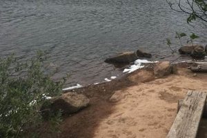 Discover Rainy Lake Campground Oregon: A Nature Escape! Safem Fabrication - Precision Engineering & Custom Manufacturing Solutions Discover Rainy Lake Campground Oregon: A Nature Escape! | Safem Fabrication - Precision Engineering & Custom Manufacturing Solutions
