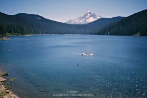 Discover Bull Run Lake Oregon: Your Water Source Safem Fabrication - Precision Engineering & Custom Manufacturing Solutions Discover Bull Run Lake Oregon: Your Water Source | Safem Fabrication - Precision Engineering & Custom Manufacturing Solutions