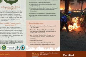 Jackson County Burn Day: Oregon Open Burning Rules + Info Safem Fabrication - Precision Engineering & Custom Manufacturing Solutions Jackson County Burn Day: Oregon Open Burning Rules + Info | Safem Fabrication - Precision Engineering & Custom Manufacturing Solutions