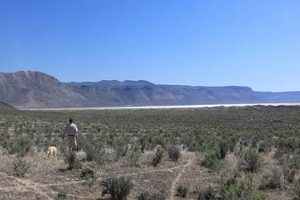 Explore: Alkali Lake Oregon Wonders & More! Safem Fabrication - Precision Engineering & Custom Manufacturing Solutions Explore: Alkali Lake Oregon Wonders & More! | Safem Fabrication - Precision Engineering & Custom Manufacturing Solutions