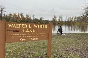 Visit Walter Wirth Lake Salem Oregon: Guide + Activities Safem Fabrication - Precision Engineering & Custom Manufacturing Solutions Visit Walter Wirth Lake Salem Oregon: Guide + Activities | Safem Fabrication - Precision Engineering & Custom Manufacturing Solutions