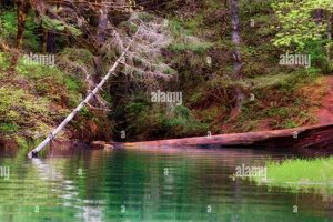 Your Guide to Hagg Lake in Oregon: Activities & Info Safem Fabrication - Precision Engineering & Custom Manufacturing Solutions Your Guide to Hagg Lake in Oregon: Activities & Info | Safem Fabrication - Precision Engineering & Custom Manufacturing Solutions