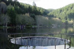 Escape to Fishhawk Lake Oregon: Your Lakeside Retreat Safem Fabrication - Precision Engineering & Custom Manufacturing Solutions Escape to Fishhawk Lake Oregon: Your Lakeside Retreat | Safem Fabrication - Precision Engineering & Custom Manufacturing Solutions