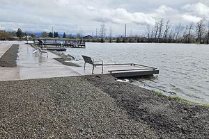 Explore Junction City Pond, Oregon: Nature's Gem Safem Fabrication - Precision Engineering & Custom Manufacturing Solutions Explore Junction City Pond, Oregon: Nature's Gem | Safem Fabrication - Precision Engineering & Custom Manufacturing Solutions