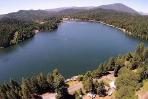 Explore Lake Selmac Oregon: Fishing, Camping & More! Safem Fabrication - Precision Engineering & Custom Manufacturing Solutions Explore Lake Selmac Oregon: Fishing, Camping & More! | Safem Fabrication - Precision Engineering & Custom Manufacturing Solutions