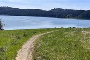 Plan Your Trip to Hagg Lake Oregon: Recreation & Tips Safem Fabrication - Precision Engineering & Custom Manufacturing Solutions Plan Your Trip to Hagg Lake Oregon: Recreation & Tips | Safem Fabrication - Precision Engineering & Custom Manufacturing Solutions