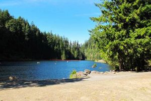 Explore Harriett Lake, Oregon | A High Desert Oasis Safem Fabrication - Precision Engineering & Custom Manufacturing Solutions Explore Harriett Lake, Oregon | A High Desert Oasis | Safem Fabrication - Precision Engineering & Custom Manufacturing Solutions