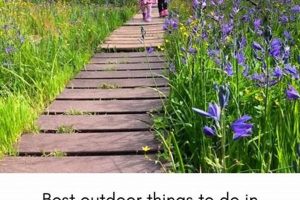 Explore West Linn Oregon Parks: Your Ultimate Guide Safem Fabrication - Precision Engineering & Custom Manufacturing Solutions Explore West Linn Oregon Parks: Your Ultimate Guide | Safem Fabrication - Precision Engineering & Custom Manufacturing Solutions