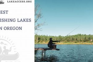 Top Oregon Lakes: Your Guide to the Best Fishing Spots! Safem Fabrication - Precision Engineering & Custom Manufacturing Solutions Top Oregon Lakes: Your Guide to the Best Fishing Spots! | Safem Fabrication - Precision Engineering & Custom Manufacturing Solutions