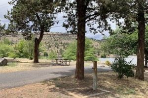 Your Guide to Pelton Park Campground, Oregon Camping Safem Fabrication - Precision Engineering & Custom Manufacturing Solutions Your Guide to Pelton Park Campground, Oregon Camping | Safem Fabrication - Precision Engineering & Custom Manufacturing Solutions