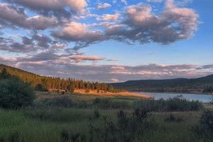 Visit Phillips Lake Oregon: Camping & Fishing Guide Safem Fabrication - Precision Engineering & Custom Manufacturing Solutions Visit Phillips Lake Oregon: Camping & Fishing Guide | Safem Fabrication - Precision Engineering & Custom Manufacturing Solutions
