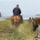 Ride Lincoln City: Horseback Riding Oregon Coast Adventures | Living in Oregon: Moving Tips, Cost of Living & Best Cities