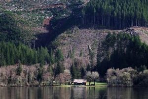 Explore Triangle Lake Oregon: A Coastal Range Jewel Safem Fabrication - Precision Engineering & Custom Manufacturing Solutions Explore Triangle Lake Oregon: A Coastal Range Jewel | Safem Fabrication - Precision Engineering & Custom Manufacturing Solutions