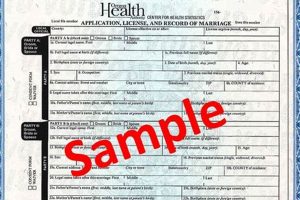 Find Oregon State Marriage Records: Info & Access Safem Fabrication - Precision Engineering & Custom Manufacturing Solutions Find Oregon State Marriage Records: Info & Access | Safem Fabrication - Precision Engineering & Custom Manufacturing Solutions