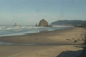 Watch Oregon Coast Live Cameras: Views & Weather Now Safem Fabrication - Precision Engineering & Custom Manufacturing Solutions Watch Oregon Coast Live Cameras: Views & Weather Now | Safem Fabrication - Precision Engineering & Custom Manufacturing Solutions