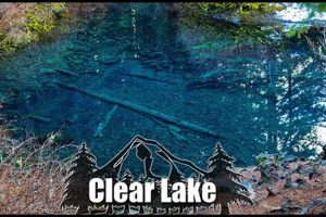 Explore: Clear Lake Oregon Underwater Forest (Dive In!) Safem Fabrication - Precision Engineering & Custom Manufacturing Solutions Explore: Clear Lake Oregon Underwater Forest (Dive In!) | Safem Fabrication - Precision Engineering & Custom Manufacturing Solutions