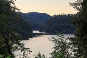 Your Loon Lake Oregon Weather Guide & Forecast Safem Fabrication - Precision Engineering & Custom Manufacturing Solutions Your Loon Lake Oregon Weather Guide & Forecast | Safem Fabrication - Precision Engineering & Custom Manufacturing Solutions