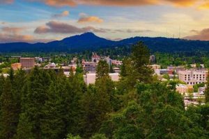 Find Top Nursing Jobs Eugene, Oregon | Apply Now Safem Fabrication - Precision Engineering & Custom Manufacturing Solutions Find Top Nursing Jobs Eugene, Oregon | Apply Now | Safem Fabrication - Precision Engineering & Custom Manufacturing Solutions