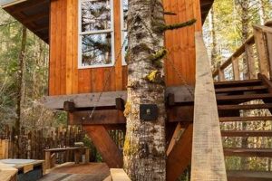 Discover: Treehouse Oregon Coast Escapes & Views Living in Oregon: Moving Tips, Cost of Living & Best Cities Discover: Treehouse Oregon Coast Escapes & Views | Living in Oregon: Moving Tips, Cost of Living & Best Cities