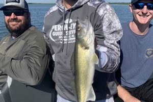 Your Guide to Devils Lake Oregon Fishing Adventures Safem Fabrication - Precision Engineering & Custom Manufacturing Solutions Your Guide to Devils Lake Oregon Fishing Adventures | Safem Fabrication - Precision Engineering & Custom Manufacturing Solutions