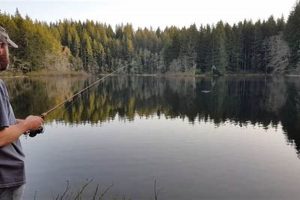 Your Guide: Lost Lake Oregon Fishing Trips & Tips Safem Fabrication - Precision Engineering & Custom Manufacturing Solutions Your Guide: Lost Lake Oregon Fishing Trips & Tips | Safem Fabrication - Precision Engineering & Custom Manufacturing Solutions