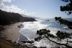 Book Southern Oregon Coast Vacation Rentals Now! Safem Fabrication - Precision Engineering & Custom Manufacturing Solutions Book Southern Oregon Coast Vacation Rentals Now! | Safem Fabrication - Precision Engineering & Custom Manufacturing Solutions