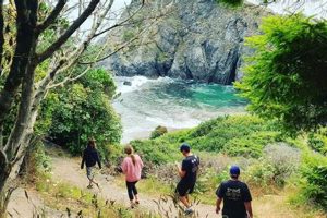 Find: Dog Friendly Hotels Brookings Oregon - & Pawsome Stays! Safem Fabrication - Precision Engineering & Custom Manufacturing Solutions Find: Dog Friendly Hotels Brookings Oregon - & Pawsome Stays! | Safem Fabrication - Precision Engineering & Custom Manufacturing Solutions