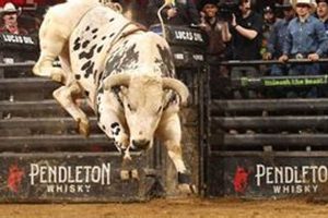 PBR in Eugene, Oregon: Local Scene + Where to Find It Safem Fabrication - Precision Engineering & Custom Manufacturing Solutions PBR in Eugene, Oregon: Local Scene + Where to Find It | Safem Fabrication - Precision Engineering & Custom Manufacturing Solutions