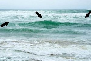Guide to Surf Fishing Oregon Coast Success Safem Fabrication - Precision Engineering & Custom Manufacturing Solutions Guide to Surf Fishing Oregon Coast Success | Safem Fabrication - Precision Engineering & Custom Manufacturing Solutions