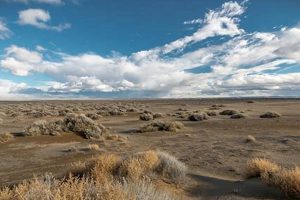 Unearthing Oregon's Fossil Lake: History & Treasures Safem Fabrication - Precision Engineering & Custom Manufacturing Solutions Unearthing Oregon's Fossil Lake: History & Treasures | Safem Fabrication - Precision Engineering & Custom Manufacturing Solutions