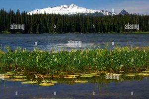 Discover Gold Lake, Oregon: A Cascade Jewel Safem Fabrication - Precision Engineering & Custom Manufacturing Solutions Discover Gold Lake, Oregon: A Cascade Jewel | Safem Fabrication - Precision Engineering & Custom Manufacturing Solutions