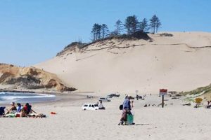 Explore the Majestic Pacific City Oregon Sand Dune Coast! Safem Fabrication - Precision Engineering & Custom Manufacturing Solutions Explore the Majestic Pacific City Oregon Sand Dune Coast! | Safem Fabrication - Precision Engineering & Custom Manufacturing Solutions