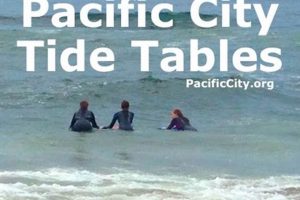 Pacific City Oregon Tides: Times & Tips Safem Fabrication - Precision Engineering & Custom Manufacturing Solutions Pacific City Oregon Tides: Times & Tips | Safem Fabrication - Precision Engineering & Custom Manufacturing Solutions