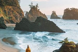 Beyond Beaches: Unusual Things To Do on the Oregon Coast Now! Safem Fabrication - Precision Engineering & Custom Manufacturing Solutions Beyond Beaches: Unusual Things To Do on the Oregon Coast Now! | Safem Fabrication - Precision Engineering & Custom Manufacturing Solutions
