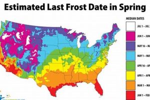Portland's Last Frost: Date, Tips & More Living in Oregon: Moving Tips, Cost of Living & Best Cities Portland's Last Frost: Date, Tips & More | Living in Oregon: Moving Tips, Cost of Living & Best Cities