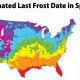 Portland's Last Frost: Date, Tips &amp; More | Living in Oregon: Moving Tips, Cost of Living & Best Cities