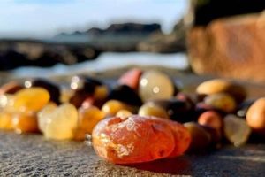 Find Agates of the Oregon Coast: A Gem Hunter's Guide Safem Fabrication - Precision Engineering & Custom Manufacturing Solutions Find Agates of the Oregon Coast: A Gem Hunter's Guide | Safem Fabrication - Precision Engineering & Custom Manufacturing Solutions
